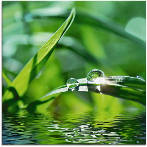 4055327040396 - Glasbild ARTLAND Grüner Hintergrund mit Gras Bilder Gr B H 30 cm x 30 cm Gräser 1 St grün Glasbilder Bilder in verschiedenen Größen 4055327040396 - Glasbild ARTLAND Grüner Hintergrund mit Gras Bilder Gr B H 30 cm x 30 cm Gräser 1 St grün Glasbilder Bilder in verschiedenen Größen