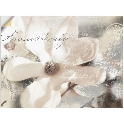 4062144718490 - Wandbild ARTLAND Magnolie_Detail Bilder Gr B H 120 cm x 90 cm Wandaufkleber - Vinyl Blumenbilder Querformat 1 St weiß Kunstdrucke als Alubild Leinwandbild Wandaufkleber oder Poster in versch Größen 4062144718490 - Wandbild ARTLAND Magnolie_Detail Bilder Gr B H 120 cm x 90 cm Wandaufkleber - Vinyl Blumenbilder Querformat 1 St weiß Kunstdrucke als Alubild Leinwandbild Wandaufkleber oder Poster in versch Größen