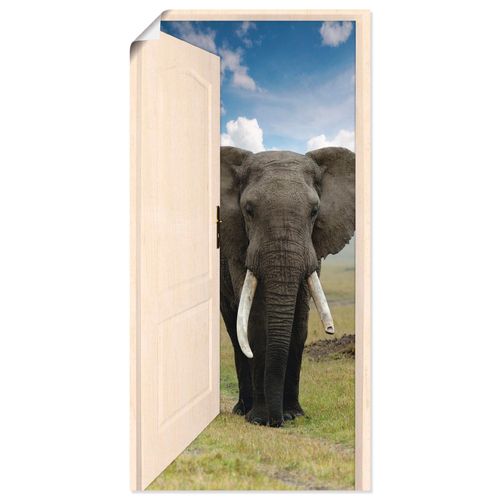 4057738349235 - Wandbild ARTLAND Offene weiße Türe mit Blick auf Elefant Bilder Gr B H 20 cm x 40 cm Poster Wildtiere Hochformat 1 St grau Bild Poster Bilder als Alubild Leinwandbild Wandaufkleber oder in versch Größen 4057738349235 - Wandbild ARTLAND Offene weiße Türe mit Blick auf Elefant Bilder Gr B H 20 cm x 40 cm Poster Wildtiere Hochformat 1 St grau Bild Poster Bilder als Alubild Leinwandbild Wandaufkleber oder in versch Größen