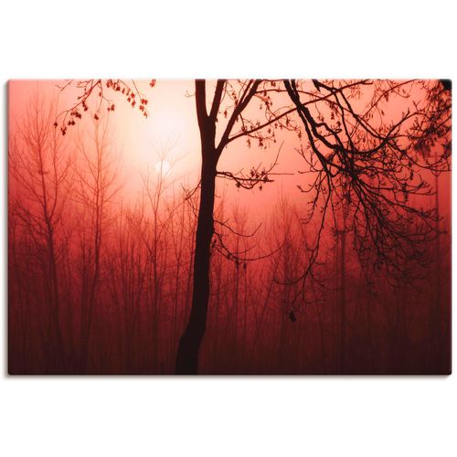 4059745994392 - Wandbild ARTLAND Symphonie Bilder Gr B H 60 cm x 40 cm Leinwandbild Wald 1 St rot Bild Kunstdruck Metallbild Metallbilder Bilder als Alubild Leinwandbild Wandaufkleber oder Poster in versch Größen 4059745994392 - Wandbild ARTLAND Symphonie Bilder Gr B H 60 cm x 40 cm Leinwandbild Wald 1 St rot Bild Kunstdruck Metallbild Metallbilder Bilder als Alubild Leinwandbild Wandaufkleber oder Poster in versch Größen
