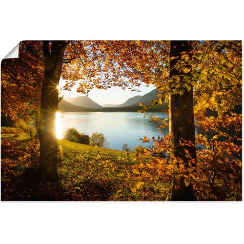 4062144755662 - Wandbild ARTLAND Herbst am Sylvensteinsee Bilder Gr B H 120 cm x 80 cm Poster Gewässer Querformat 1 St orange Kunstdrucke als Alubild Leinwandbild Wandaufkleber oder Poster in versch Größen