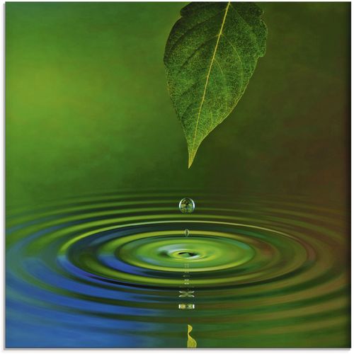 4055327039581 - Glasbild ARTLAND Wassertropfen Bilder Gr B H 30 cm x 30 cm Zen 1 St grün Glasbilder Bilder in verschiedenen Größen 4055327039581 - Glasbild ARTLAND Wassertropfen Bilder Gr B H 30 cm x 30 cm Zen 1 St grün Glasbilder Bilder in verschiedenen Größen