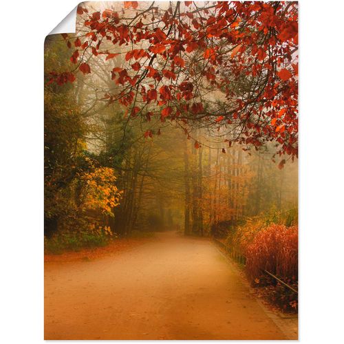 4055327536561 - Wandbild ARTLAND Herbst im Park Bilder Gr B H 45 cm x 60 cm Poster Vier Jahreszeiten 1 St orange Bild Kunstdruck Kunstdrucke Bilder als Leinwandbild Wandaufkleber oder Poster in versch Größen