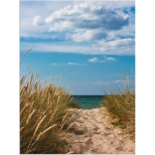 4057738605591 - Wandbild ARTLAND Strandzugang an der Ostsee - Dänemark 9 Bilder Gr B H 30 cm x 40 cm Alu-Dibond-Druck Strand 1 St blau Bild Kunstdruck Leinwandbild Kunstdrucke Bilder als Alubild Leinwandbild Wandaufkleber oder Poster in versch Größen
