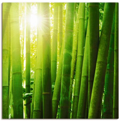 4055327781190 - Wandbild ARTLAND Asiatischer Bambuswald im Morgenlicht Bilder Gr B H 40 cm x 40 cm Leinwandbild Gräser quadratisch 1 St grün Bild Poster Bilder als Leinwandbild Wandaufkleber oder in versch Größen 4055327781190 - Wandbild ARTLAND Asiatischer Bambuswald im Morgenlicht Bilder Gr B H 40 cm x 40 cm Leinwandbild Gräser quadratisch 1 St grün Bild Poster Bilder als Leinwandbild Wandaufkleber oder in versch Größen