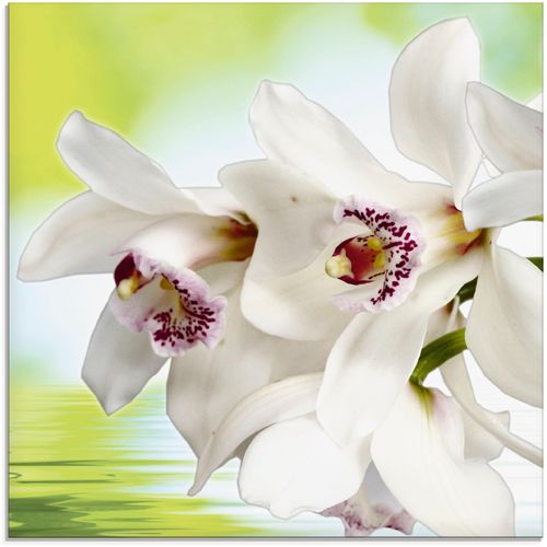 4058661610652 - Glasbild ARTLAND Weiße Orchidee Bilder Gr B H 20 cm x 20 cm Blumen 1 St weiß Glasbilder Bilder in verschiedenen Größen 4058661610652 - Glasbild ARTLAND Weiße Orchidee Bilder Gr B H 20 cm x 20 cm Blumen 1 St weiß Glasbilder Bilder in verschiedenen Größen