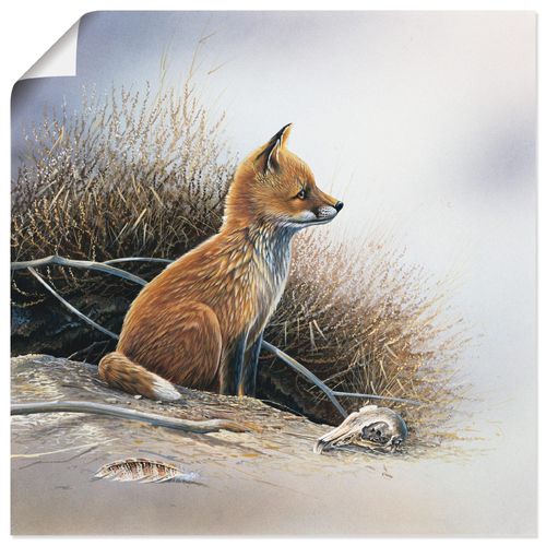 4055327596756 - Wandbild ARTLAND Kleiner Fuchs Bilder Gr B H 40 cm x 40 cm Poster Wildtiere quadratisch 1 St braun Bild Poster Bilder als Leinwandbild Wandaufkleber oder in versch Größen