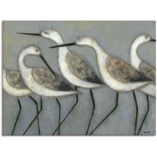 4058661326539 - Wandbild ARTLAND Küstenvögel I Bilder Gr B H 40 cm x 30 cm Leinwandbild Vögel Querformat 1 St grau Bild Leinwandbild Kunstdrucke Bilder als Alubild Leinwandbild Wandaufkleber oder Poster in versch Größen