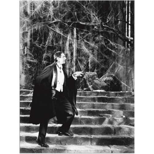 4058661977595 - Wandbild ARTLAND Dracula 1931 Bilder Gr B H 30 cm x 40 cm Alu-Dibond-Druck Film Hochformat 1 St schwarz Bild Poster Bilder als Alubild Leinwandbild Wandaufkleber oder in versch Größen 4058661977595 - Wandbild ARTLAND Dracula 1931 Bilder Gr B H 30 cm x 40 cm Alu-Dibond-Druck Film Hochformat 1 St schwarz Bild Poster Bilder als Alubild Leinwandbild Wandaufkleber oder in versch Größen