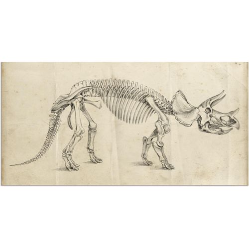 4058661310408 - Wandbild ARTLAND Dinosauria Lehre II Bilder Gr B H 60 cm x 30 cm Alu-Dibond-Druck Dinosaurier Querformat 1 St beige (naturfarben) Bild Poster Bilder als Alubild Leinwandbild Wandaufkleber oder in versch Größen