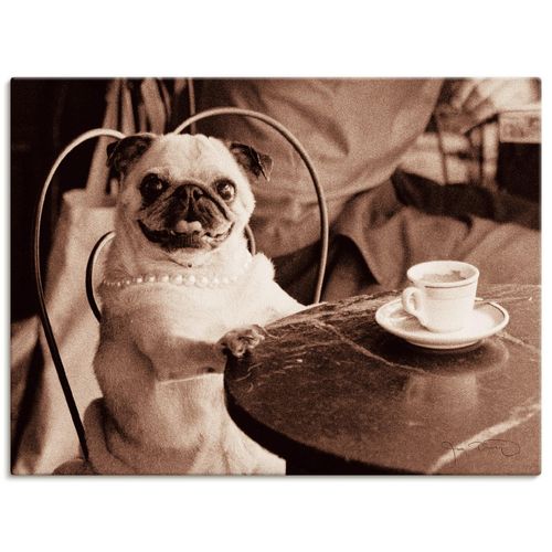 4055327749329 - Wandbild ARTLAND Kaffee Mops Bilder Gr B H 60 cm x 45 cm Leinwandbild Haustiere Querformat 1 St beige (natur) Bild Poster Bilder als Leinwandbild Wandaufkleber oder in versch Größen