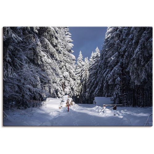 4062144783429 - Wandbild ARTLAND Winter im Thüringer Wald in Schmiedefeld Bilder Gr B H 60 cm x 40 cm Leinwandbild Waldbilder Querformat 1 St blau Kunstdrucke als Alubild Leinwandbild Wandaufkleber oder Poster in versch Größen 4062144783429 - Wandbild ARTLAND Winter im Thüringer Wald in Schmiedefeld Bilder Gr B H 60 cm x 40 cm Leinwandbild Waldbilder Querformat 1 St blau Kunstdrucke als Alubild Leinwandbild Wandaufkleber oder Poster in versch Größen