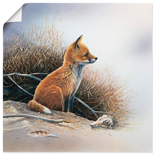 4055327596763 - Wandbild ARTLAND Kleiner Fuchs Bilder Gr B H 50 cm x 50 cm Poster Wildtiere quadratisch 1 St braun Bild Poster Bilder als Leinwandbild Wandaufkleber oder in versch Größen
