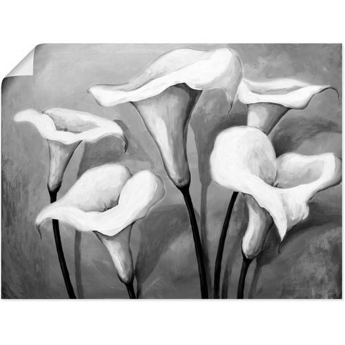 4055327424622 - Wandbild ARTLAND Callas II Bilder Gr B H 80 cm x 60 cm Poster Blumen 1 St schwarz Bild Poster Bilder als Leinwandbild Wandaufkleber oder in versch Größen