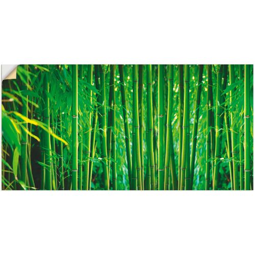 4057738798408 - Wandbild ARTLAND Bambus II Bilder Gr B H 150 cm x 75 cm Wandaufkleber - Vinyl Gräser 1 St grün Bild Kunstdruck Poster Bilder als Leinwandbild Wandaufkleber oder in versch Größen 4057738798408 - Wandbild ARTLAND Bambus II Bilder Gr B H 150 cm x 75 cm Wandaufkleber - Vinyl Gräser 1 St grün Bild Kunstdruck Poster Bilder als Leinwandbild Wandaufkleber oder in versch Größen
