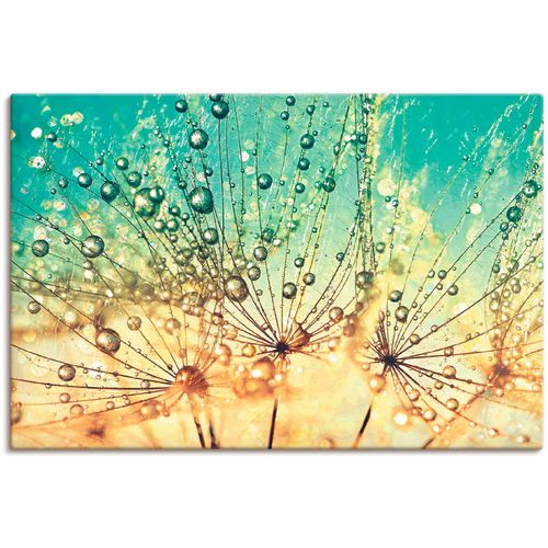 4058661089441 - Wandbild ARTLAND Pusteblume Tropfenmagie Bilder Gr B H 30 cm x 20 cm Leinwandbild Blumen 1 St blau Bild Kunstdruck Kunstdrucke Bilder als Alubild Leinwandbild Wandaufkleber oder Poster in versch Größen