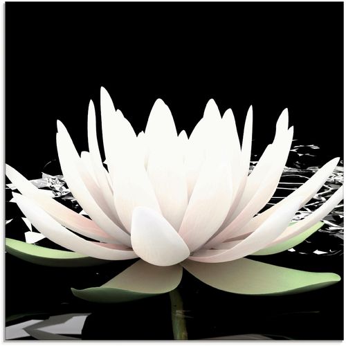 4058661625274 - Glasbild ARTLAND Zwei Lotusblumen auf dem Wasser Bilder Gr B H 30 cm x 30 cm Blumen 1 St schwarz Glasbilder Bilder in verschiedenen Größen
