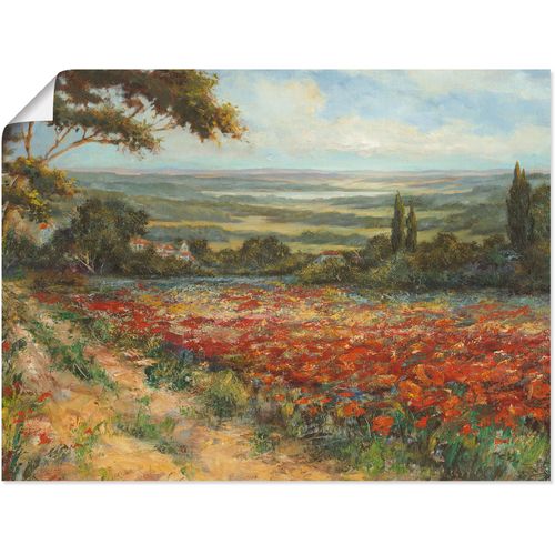 4055327291668 - Wandbild ARTLAND Weg am Mohnfeld Bilder Gr B H 80 cm x 60 cm Poster Wiesen & Bäume 1 St grün Bild Poster Bilder als Alubild Leinwandbild Wandaufkleber oder in versch Größen