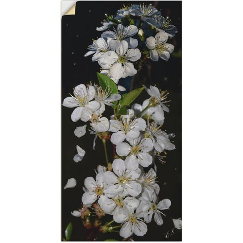 4057738655121 - Wandbild ARTLAND Baumblüte Bilder Gr B H 75 cm x 150 cm Wandaufkleber - Vinyl Blumen 1 St schwarz Bild Kunstdruck Kunstdrucke Bilder als Leinwandbild Wandaufkleber oder Poster in versch Größen