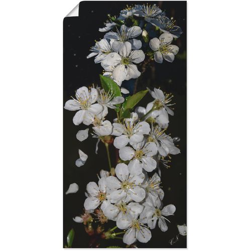4055327839822 - Wandbild ARTLAND Baumblüte Bilder Gr B H 50 cm x 100 cm Poster Blumen 1 St schwarz Bild Kunstdruck Kunstdrucke Bilder als Leinwandbild Wandaufkleber oder Poster in versch Größen