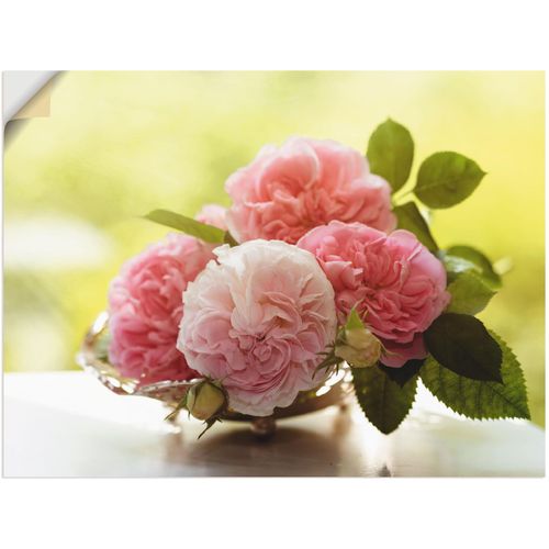4062144301135 - Wandbild ARTLAND Rosen in Silberschale Stillleben Bilder Gr B H 80 cm x 60 cm Wandaufkleber - Vinyl Blumen 1 St grün Bild Kunstdruck Poster Bilder als Leinwandbild Wandaufkleber oder in versch Größen