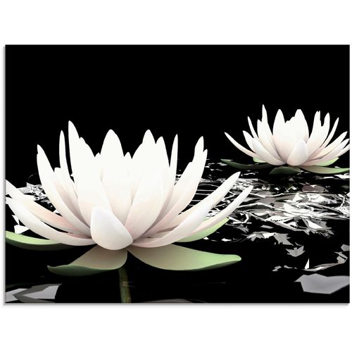 4055327058636 - Glasbild ARTLAND Zwei Lotusblumen auf dem Wasser Bilder Gr B H 80 cm x 60 cm Glasbild Blumen 1 St schwarz Glasbilder in verschiedenen Größen 4055327058636 - Glasbild ARTLAND Zwei Lotusblumen auf dem Wasser Bilder Gr B H 80 cm x 60 cm Glasbild Blumen 1 St schwarz Glasbilder in verschiedenen Größen