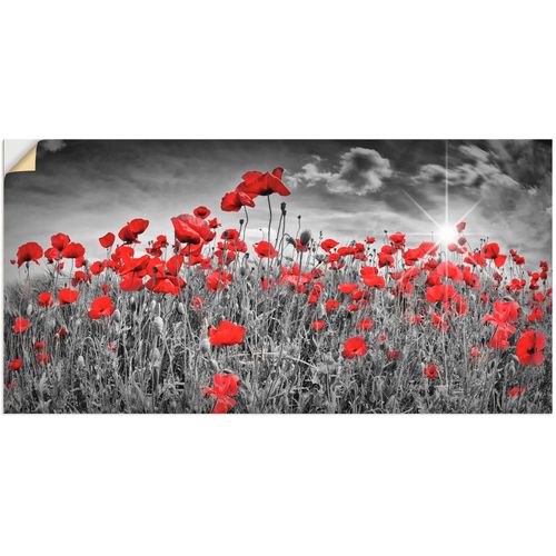 4058661648846 - Wandbild ARTLAND Idyllisches Mohnblumenfeld mit Sonne Bilder Gr B H 60 cm x 30 cm Wandaufkleber - Vinyl Blumen 1 St schwarz Bild Kunstdruck Kunstdrucke Bilder als Alubild Leinwandbild Wandaufkleber oder Poster in versch Größen 4058661648846 - Wandbild ARTLAND Idyllisches Mohnblumenfeld mit Sonne Bilder Gr B H 60 cm x 30 cm Wandaufkleber - Vinyl Blumen 1 St schwarz Bild Kunstdruck Kunstdrucke Bilder als Alubild Leinwandbild Wandaufkleber oder Poster in versch Größen