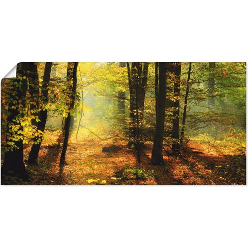 4055327536660 - Wandbild ARTLAND Herbstlicht im Wald Bilder Gr B H 100 cm x 50 cm Poster Wald 1 St grün Bild Kunstdruck Kunstdrucke Bilder als Leinwandbild Wandaufkleber oder Poster in versch Größen