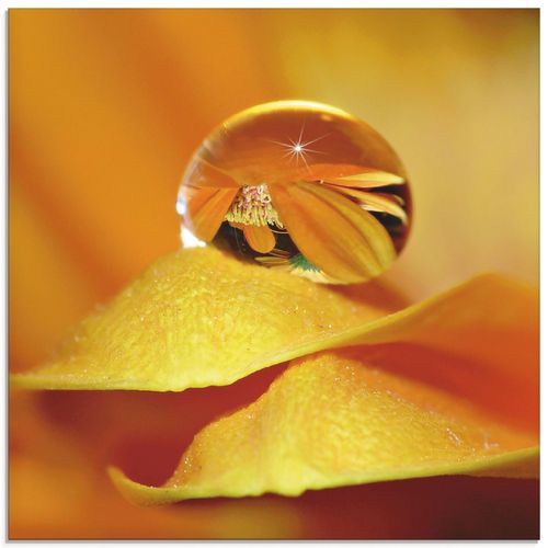 4055327631174 - Glasbild ARTLAND Wassertropfen II Bilder Gr B H 30 cm x 30 cm Glasbild Blätter quadratisch 1 St orange Bild Glasbild Glasbilder Bilder in verschiedenen Größen 4055327631174 - Glasbild ARTLAND Wassertropfen II Bilder Gr B H 30 cm x 30 cm Glasbild Blätter quadratisch 1 St orange Bild Glasbild Glasbilder Bilder in verschiedenen Größen