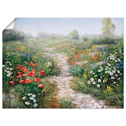 4055327498838 - Wandbild ARTLAND Dichte der Natur Bilder Gr B H 80 cm x 60 cm Poster Blumenwiese Querformat 1 St grün Bild Poster Bilder als Leinwandbild Wandaufkleber oder in versch Größen