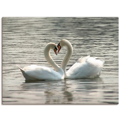 4055327238380 - Wandbild ARTLAND Liebesspiel von Schwänen Bilder Gr B H 40 cm x 30 cm Leinwandbild Vögel Querformat 1 St grau Bild Metallbild Metallbilder Bilder als Alubild Leinwandbild Wandaufkleber oder Poster in versch Größen