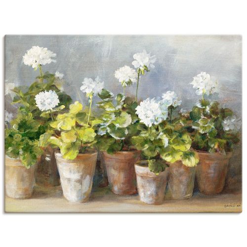 4055327743129 - Wandbild ARTLAND Weiße Geranien Bilder Gr B H 60 cm x 45 cm Leinwandbild Blumen Querformat 1 St weiß Bild Leinwandbild Kunstdrucke Bilder als Leinwandbild Wandaufkleber oder Poster in versch Größen 4055327743129 - Wandbild ARTLAND Weiße Geranien Bilder Gr B H 60 cm x 45 cm Leinwandbild Blumen Querformat 1 St weiß Bild Leinwandbild Kunstdrucke Bilder als Leinwandbild Wandaufkleber oder Poster in versch Größen