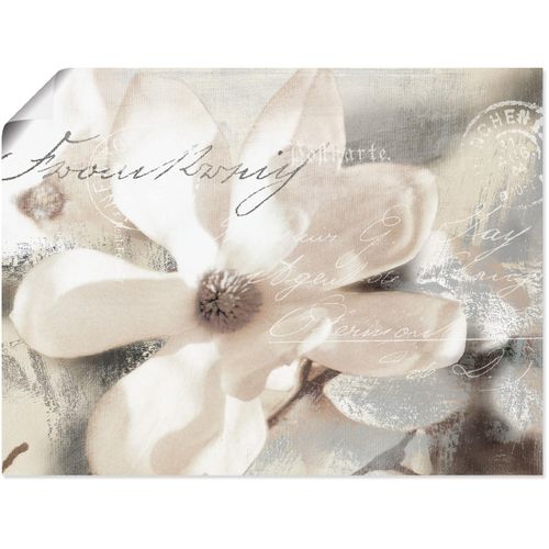 4055327293839 - Wandbild ARTLAND Magnolie_Detail Bilder Gr B H 60 cm x 45 cm Poster Blumenbilder Querformat 1 St weiß Kunstdrucke als Alubild Leinwandbild Wandaufkleber oder Poster in versch Größen