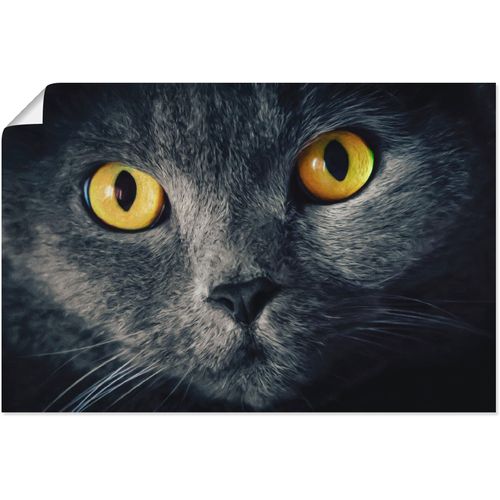 4059745798792 - Wandbild ARTLAND Katzenaugen Bilder Gr B H 120 cm x 80 cm Poster Haustiere 1 St schwarz Kunstdrucke Bilder als Alubild Leinwandbild Wandaufkleber oder Poster in versch Größen