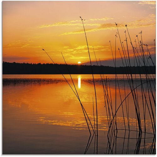 4059745440035 - Glasbild ARTLAND Landschaft mit Sonnenaufgang Bilder Gr B H 40 cm x 40 cm Sonnenaufgang & -untergang 1 St orange Glasbilder Bilder in verschiedenen Größen 4059745440035 - Glasbild ARTLAND Landschaft mit Sonnenaufgang Bilder Gr B H 40 cm x 40 cm Sonnenaufgang & -untergang 1 St orange Glasbilder Bilder in verschiedenen Größen