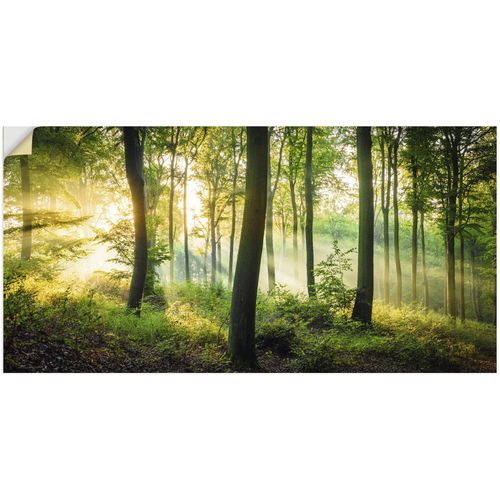 4062144665183 - Wandbild ARTLAND Herbst im Wald II Bilder Gr B H 60 cm x 30 cm Wandaufkleber - Vinyl Waldbilder Querformat 1 St grün Kunstdrucke als Alubild Leinwandbild Wandaufkleber oder Poster in versch Größen