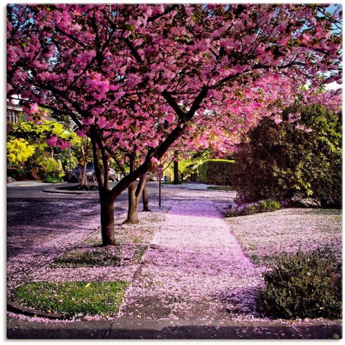 4058661331632 - Wandbild ARTLAND Fallende Blütenblätter Bilder Gr B H 40 cm x 40 cm Leinwandbild Bäume quadratisch 1 St pink Bild Metallbild Metallbilder Bilder als Alubild Leinwandbild Wandaufkleber oder Poster in versch Größen