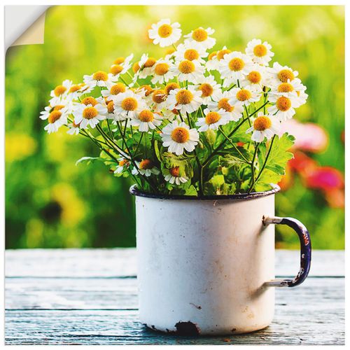4057738319368 - Wandbild ARTLAND Frühlingsgarten mit Gänseblümchen Bilder Gr B H 70 cm x 70 cm Wandaufkleber - Vinyl Blumen quadratisch 1 St grün Bild Poster Bilder als Alubild Leinwandbild Wandaufkleber oder in versch Größen