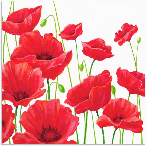 4057738386186 - Wandbild ARTLAND Rote Mohnblumen I Bilder Gr B H 40 cm x 40 cm Alu-Dibond-Druck Blumen 1 St rot Bild Leinwandbild Kunstdrucke Bilder als Alubild Leinwandbild Wandaufkleber oder Poster in versch Größen