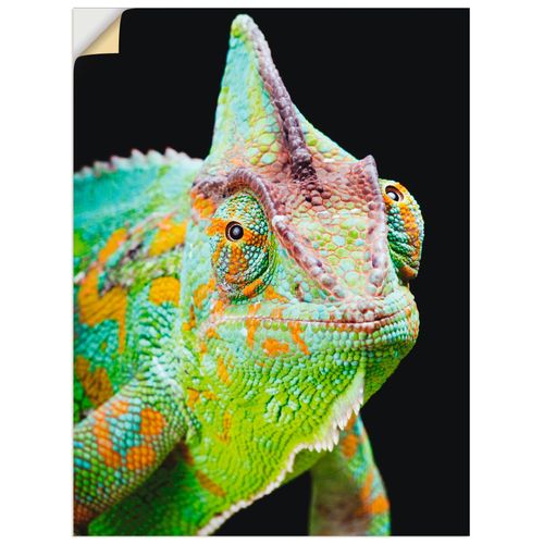 4057738292937 - Wandbild ARTLAND Yemen Chamäleon Bilder Gr B H 45 cm x 60 cm Wandaufkleber - Vinyl Reptilien Hochformat 1 St schwarz Bild Metallbild Metallbilder Bilder als Alubild Leinwandbild Wandaufkleber oder Poster in versch Größen 4057738292937 - Wandbild ARTLAND Yemen Chamäleon Bilder Gr B H 45 cm x 60 cm Wandaufkleber - Vinyl Reptilien Hochformat 1 St schwarz Bild Metallbild Metallbilder Bilder als Alubild Leinwandbild Wandaufkleber oder Poster in versch Größen