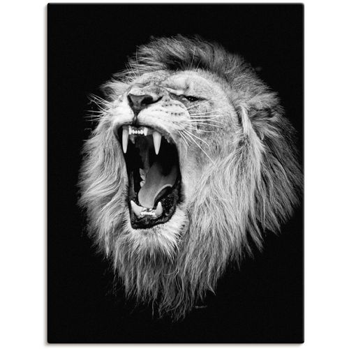 4062144626795 - Wandbild ARTLAND Der Löwe Bilder Gr B H 30 cm x 40 cm Leinwandbild Wildtiere Hochformat 1 St schwarz Kunstdrucke als Alubild Leinwandbild Wandaufkleber oder Poster in versch Größen 4062144626795 - Wandbild ARTLAND Der Löwe Bilder Gr B H 30 cm x 40 cm Leinwandbild Wildtiere Hochformat 1 St schwarz Kunstdrucke als Alubild Leinwandbild Wandaufkleber oder Poster in versch Größen