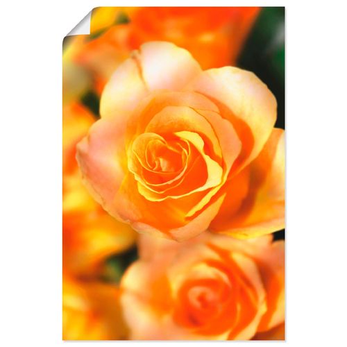 4059745258531 - Wandbild ARTLAND Strahlende Sommerrosen Bilder Gr B H 40 cm x 60 cm Poster Blumen Hochformat 1 St gelb Bild Leinwandbild Kunstdrucke Bilder als Alubild Leinwandbild Wandaufkleber oder Poster in versch Größen 4059745258531 - Wandbild ARTLAND Strahlende Sommerrosen Bilder Gr B H 40 cm x 60 cm Poster Blumen Hochformat 1 St gelb Bild Leinwandbild Kunstdrucke Bilder als Alubild Leinwandbild Wandaufkleber oder Poster in versch Größen