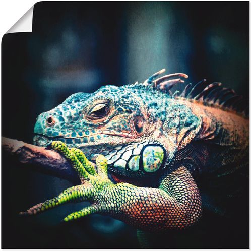 4055327508377 - Wandbild ARTLAND Leguan Bilder Gr B H 70 cm x 70 cm Poster Reptilien 1 St blau Kunstdrucke Bilder als Leinwandbild Wandaufkleber oder Poster in versch Größen