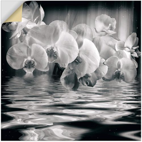 4062144821947 - Wandbild ARTLAND Orchideen - monochrom Bilder Gr B H 70 cm x 70 cm Wandaufkleber - Vinyl Spa Bilder quadratisch 1 St schwarz Kunstdrucke als Alubild Leinwandbild Wandaufkleber oder Poster in versch Größen