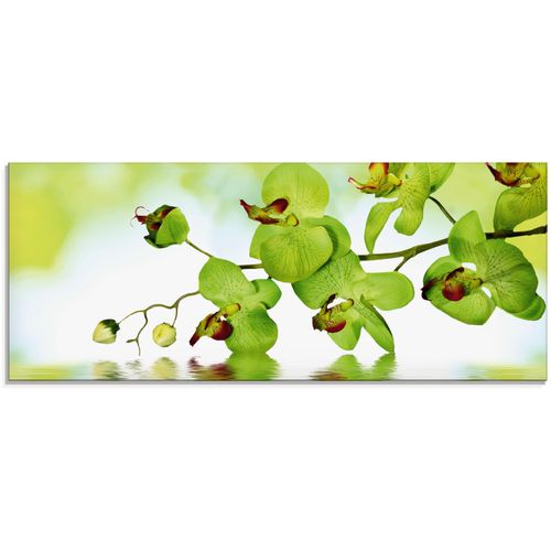 4059745101905 - Glasbild ARTLAND Schöne Orchidee mit grünem Hintergrund Bilder Gr B H 125 cm x 50 cm Glasbild Blumen 1 St grün Glasbilder in verschiedenen Größen 4059745101905 - Glasbild ARTLAND Schöne Orchidee mit grünem Hintergrund Bilder Gr B H 125 cm x 50 cm Glasbild Blumen 1 St grün Glasbilder in verschiedenen Größen