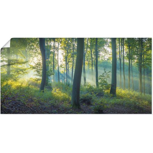 4062144639139 - Wandbild ARTLAND Wald Panorama Bilder Gr B H 60 cm x 30 cm Poster Waldbilder Querformat 1 St grün Kunstdrucke als Alubild Leinwandbild Wandaufkleber oder Poster in versch Größen