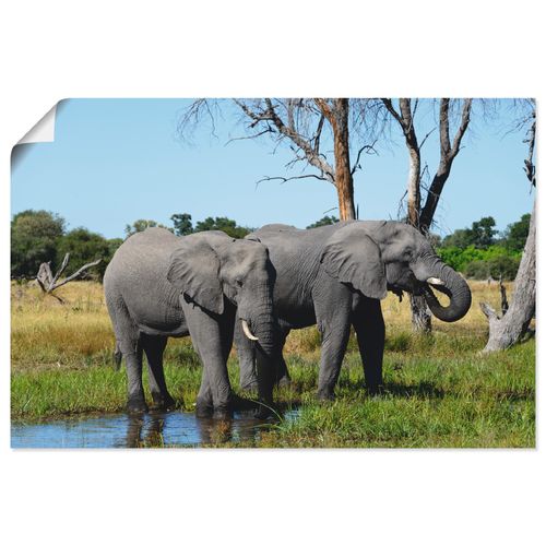 4059745640091 - Wandbild ARTLAND Afrikanische Elefanten Bilder Gr B H 30 cm x 20 cm Poster Wildtiere Querformat 1 St blau Bild Poster Bilder als Alubild Leinwandbild Wandaufkleber oder in versch Größen