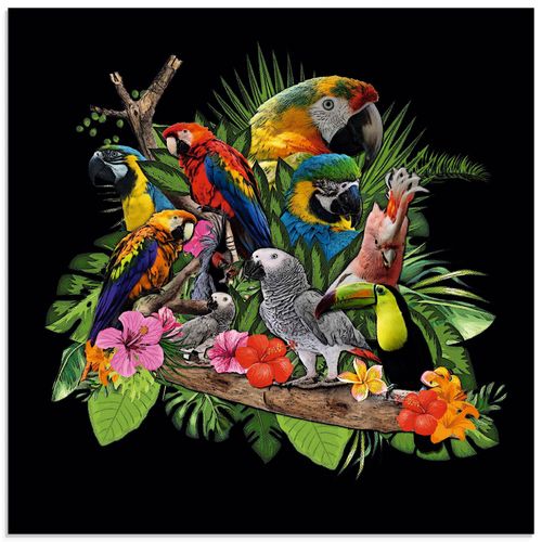 4062144340257 - Glasbild ARTLAND Papageien Graupapagei Kakadu Dschungel Bilder Gr B H 40 cm x 40 cm Glasbild Vögel quadratisch 1 St bunt Bild Glasbild Glasbilder Bilder in verschiedenen Größen 4062144340257 - Glasbild ARTLAND Papageien Graupapagei Kakadu Dschungel Bilder Gr B H 40 cm x 40 cm Glasbild Vögel quadratisch 1 St bunt Bild Glasbild Glasbilder Bilder in verschiedenen Größen