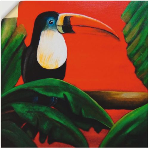 4057738645740 - Wandbild ARTLAND Tukan Bilder Gr B H 50 cm x 50 cm Wandaufkleber - Vinyl Vögel 1 St rot Bild Kunstdruck Kunstdrucke Bilder als Leinwandbild Wandaufkleber oder Poster in versch Größen
