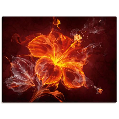 4055327780292 - Wandbild ARTLAND Feuerblume Bilder Gr B H 60 cm x 45 cm Leinwandbild Blumen Querformat 1 St rot Bild Poster Bilder als Leinwandbild Wandaufkleber oder in versch Größen